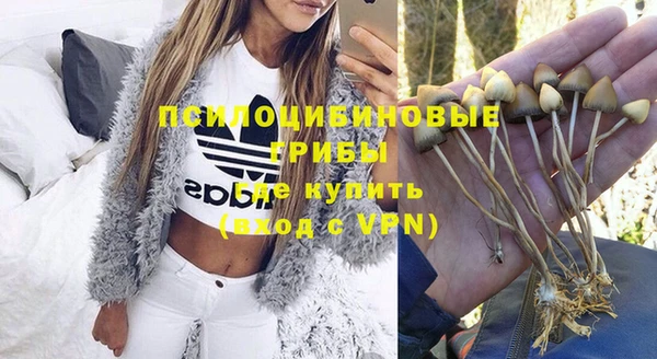 MDMA Premium VHQ Карпинск